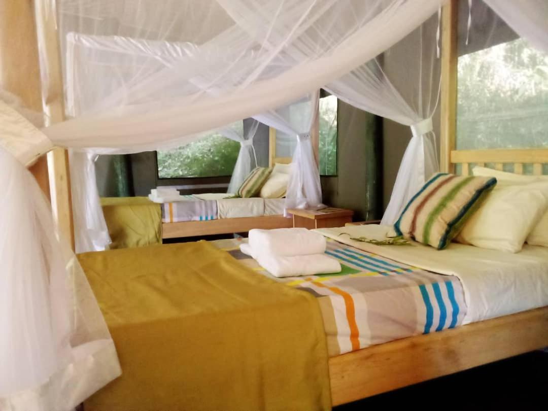 Gorilla Hills Eco-Lodge Kisoro Exterior photo